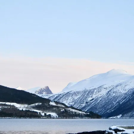 5 Person In Eidsvåg